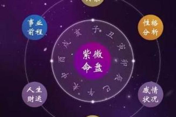 紫微斗数弱智 紫微斗数看智力? 紫微斗数弱智 紫微斗数看智力?