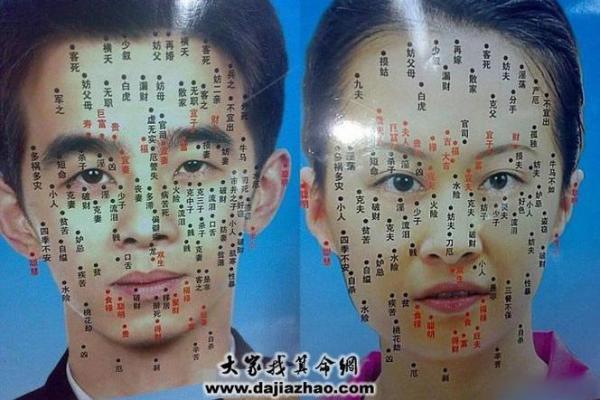 胸部痣相图解算命 胸部痣相图解算命