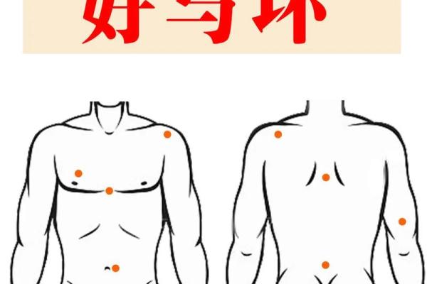 胸部痣相图解算命 胸部痣相图解算命