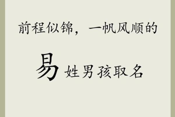 属蛇卯时出生的男孩如何取名字，宜用什么字姓名