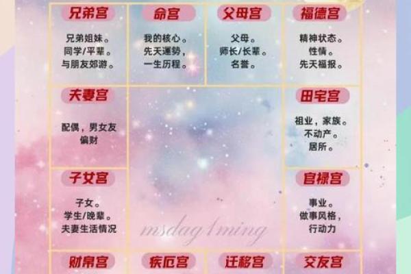 紫薇斗数各宫位 紫薇斗数各宫位