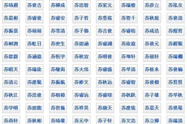 苏姓男孩名字大全-苏姓男孩起名字大全-苏姓名字大全姓名