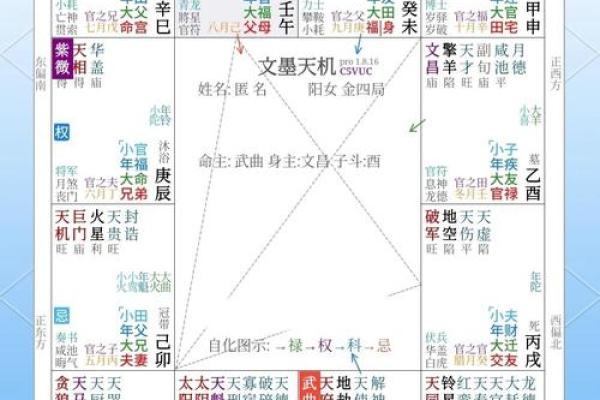 紫薇斗数难学吗 紫薇斗数难学吗