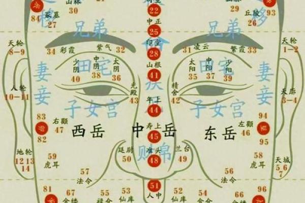 通过脸算命 通过脸算命