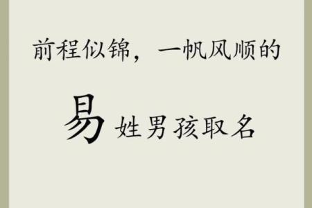 属蛇卯时出生的男孩如何取名字，宜用什么字姓名