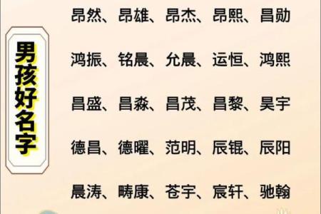 2019年5月30号子时出生的男孩要怎么起名字姓名