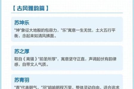 苏姓男孩名字大全-苏姓男孩起名字大全-苏姓名字大全姓名