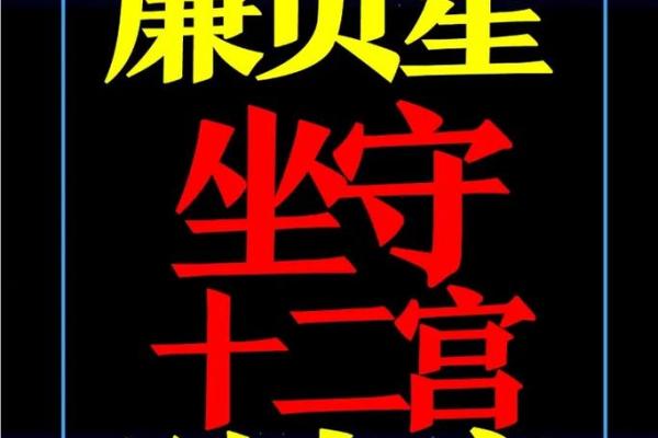 元贞亨利紫薇斗数 元贞亨利紫薇斗数