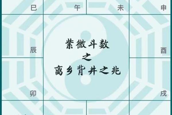 元贞亨利紫薇斗数 元贞亨利紫薇斗数