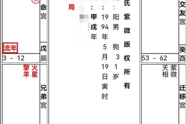 清朝道光皇帝紫微斗数命盘 清代道光? 清朝道光皇帝紫微斗数命盘 清代道光?