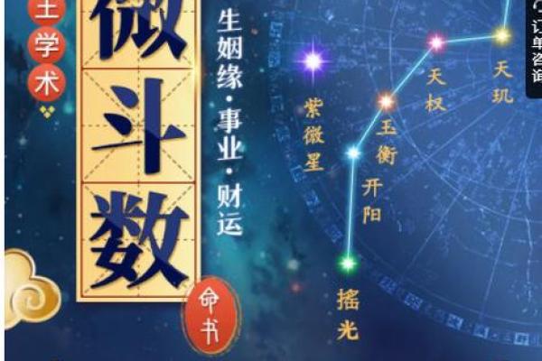 清朝道光皇帝紫微斗数命盘 清代道光? 清朝道光皇帝紫微斗数命盘 清代道光?