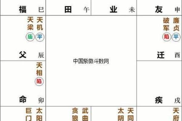 紫薇斗数化禄在夫妻宫