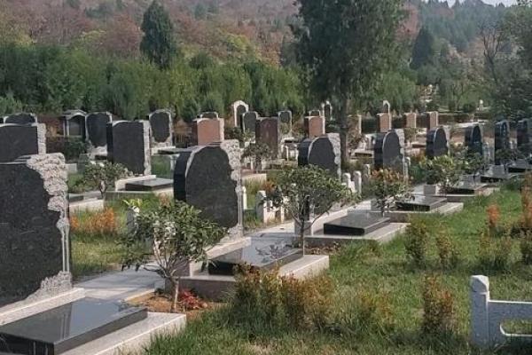 墓地风水