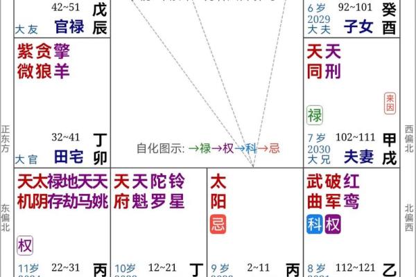 紫薇斗数天马一生机会