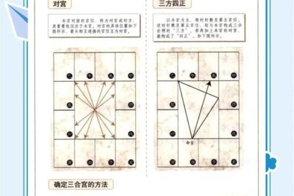 浅谈紫微斗数的六线十二宫