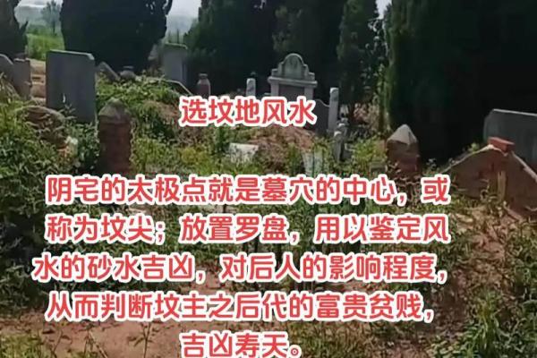 墓地风水，什么祖坟风水要调理