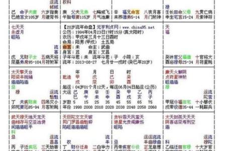 包含紫薇斗数推断实例的词条