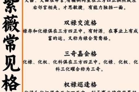 紫薇斗数免费算命大全