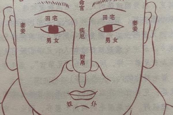 面相算命入门：五行与相貌