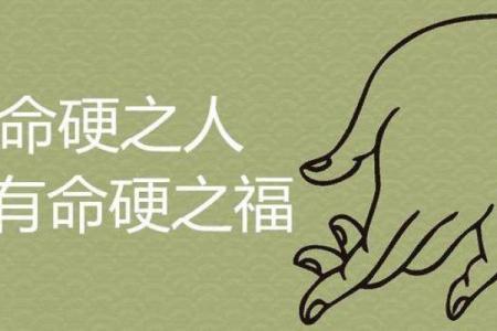 八字过硬是啥命运啊女孩