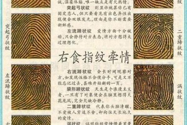 指纹算命 十指指纹算命查询 指纹算命 十指指纹算命查询