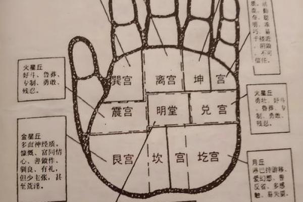 指纹算命 十指指纹算命查询 指纹算命 十指指纹算命查询