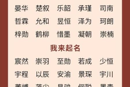 2019年4月16号寅时出生的男孩起名方法姓名