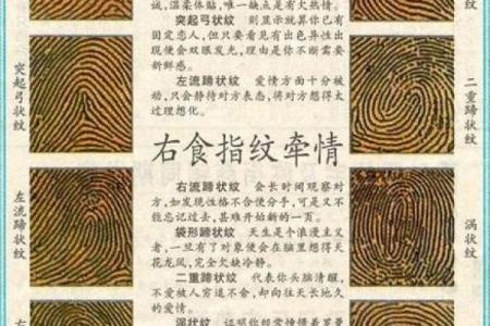 指纹算命 十指指纹算命查询