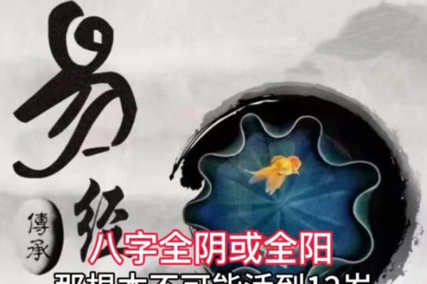 八字全阳是什么意思 八字全阳是什么意思