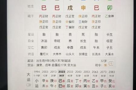 八字全阳是什么意思