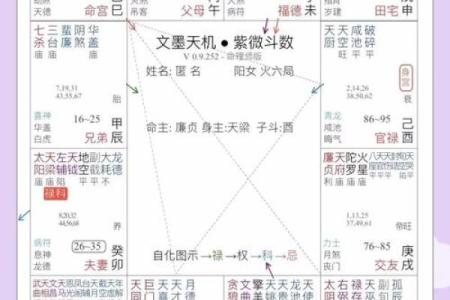 紫微排盘,科星逢破格命格详解