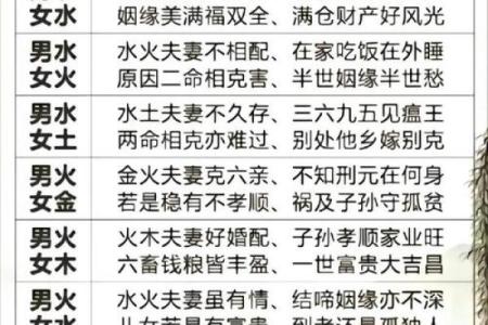 两个人八字婚姻宫相同