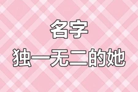 查名字官网,姓名测试打分重名查询