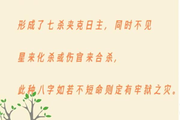 心大八字 心大八字