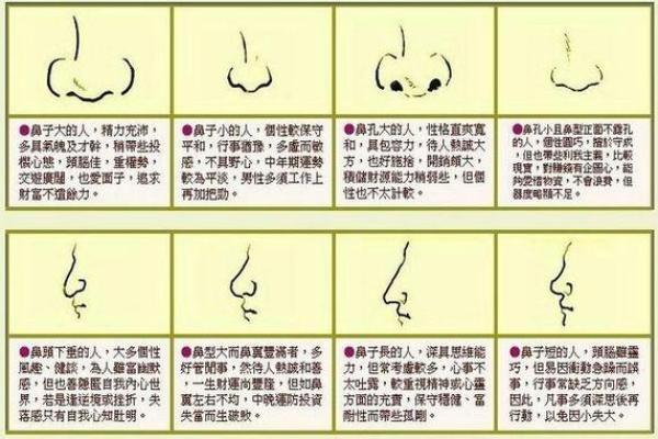 面相算命鼻子 面相算命鼻子
