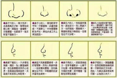 面相算命鼻子