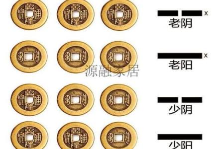 算命术为什么用五行金木水火土作算命的工具?