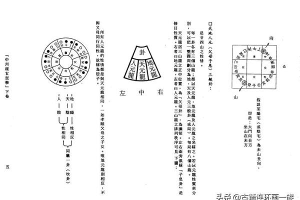 王亭之紫微斗数录音 免费查王亭之紫微斗数排盘? 王亭之紫微斗数录音 免费查王亭之紫微斗数排盘?