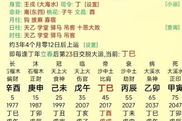 八字人格 八字人格