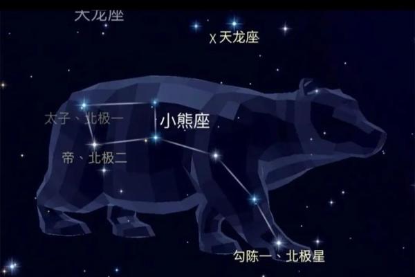 紫薇星北极星是什么龙 紫薇星北极星是什么龙