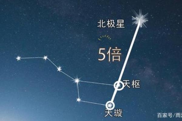 紫薇星北极星是什么龙 紫薇星北极星是什么龙