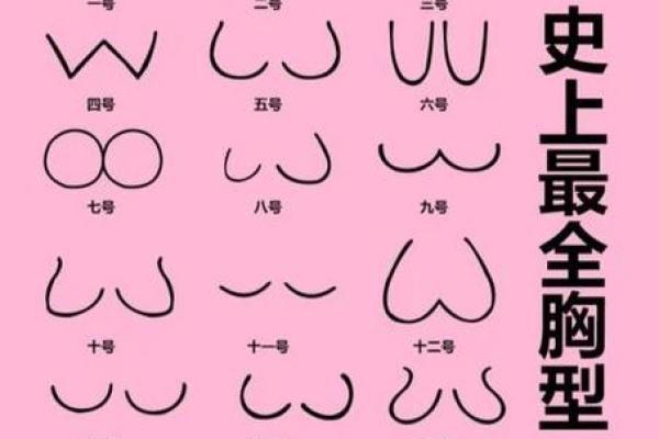 什么是八字奶 什么是八字奶