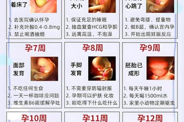 算命上女子怀孕怎么算 算命上女子怀孕怎么算