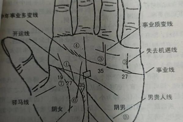 看手相算命大师免费下载 看手相算命大师免费下载