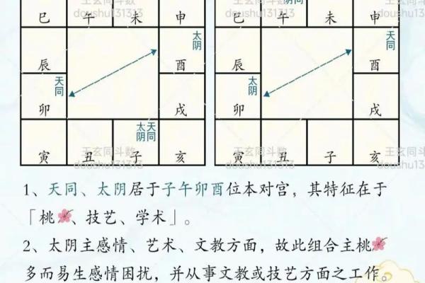 紫薇斗数太阴视频
