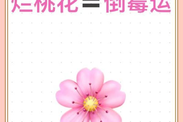 异性缘极重的八字从不缺桃花,要及时斩烂桃花 异性缘极重的八字从不缺桃花,要及时斩烂桃花