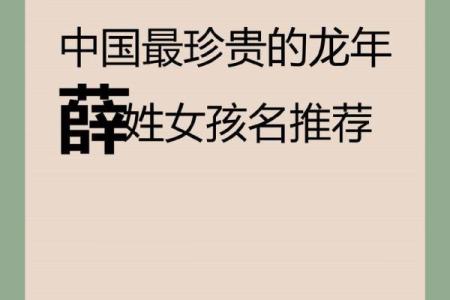 薛姓女孩名字大全-薛姓女孩起名字大全-薛姓名字大全姓名