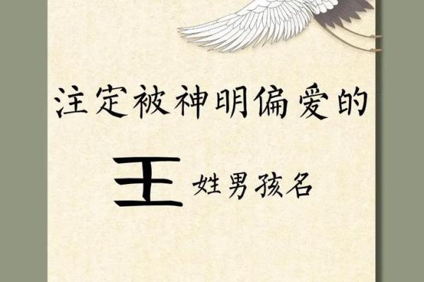 王姓男孩名字大全-王姓男孩起名字大全-王姓名字大全姓名 王姓男孩名字大全-王姓男孩起名字大全-王姓名字大全姓名