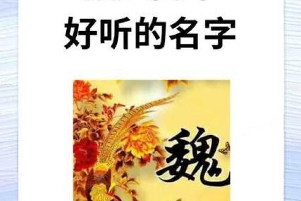 魏姓女孩名字大全-魏姓女孩起名字大全-魏姓名字大全姓名