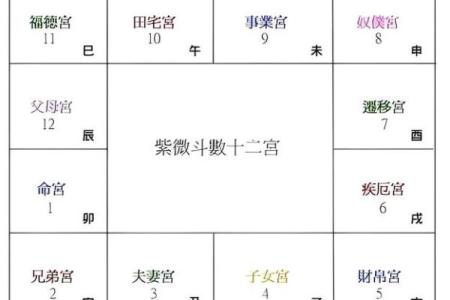 紫薇斗数嫁贵夫